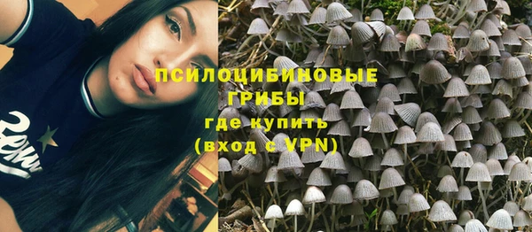 apvp Бородино