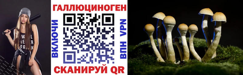 Галлюциногенные грибы мицелий  хочу наркоту  Новодвинск 